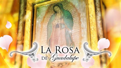 where can i watch la rosa de guadalupe